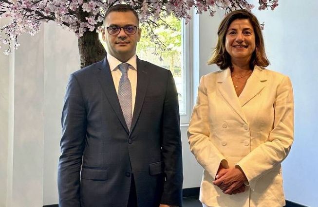 Meeting of Deputy Foreign Minister of Armenia Robert Abisoghomonyan with Director-General of the International Commission on Missing Persons Kathryne Bomberger